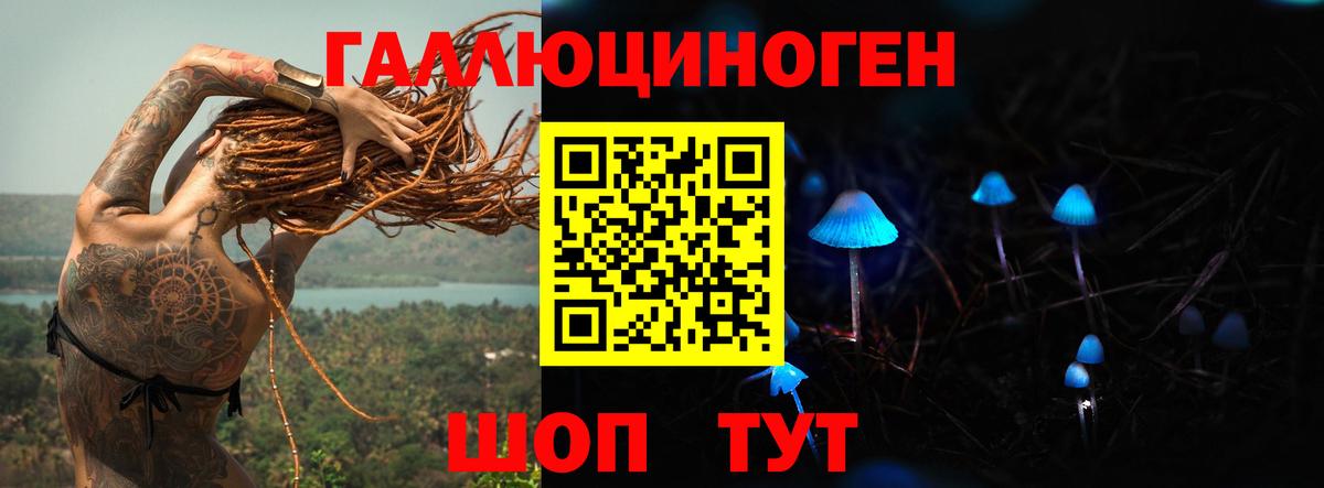 Псилоцибиновые грибы прущие грибы Новороссийск